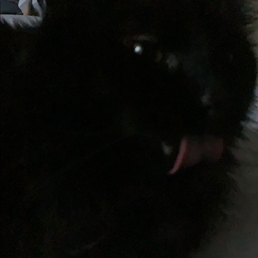 Meet your Posher, Maya